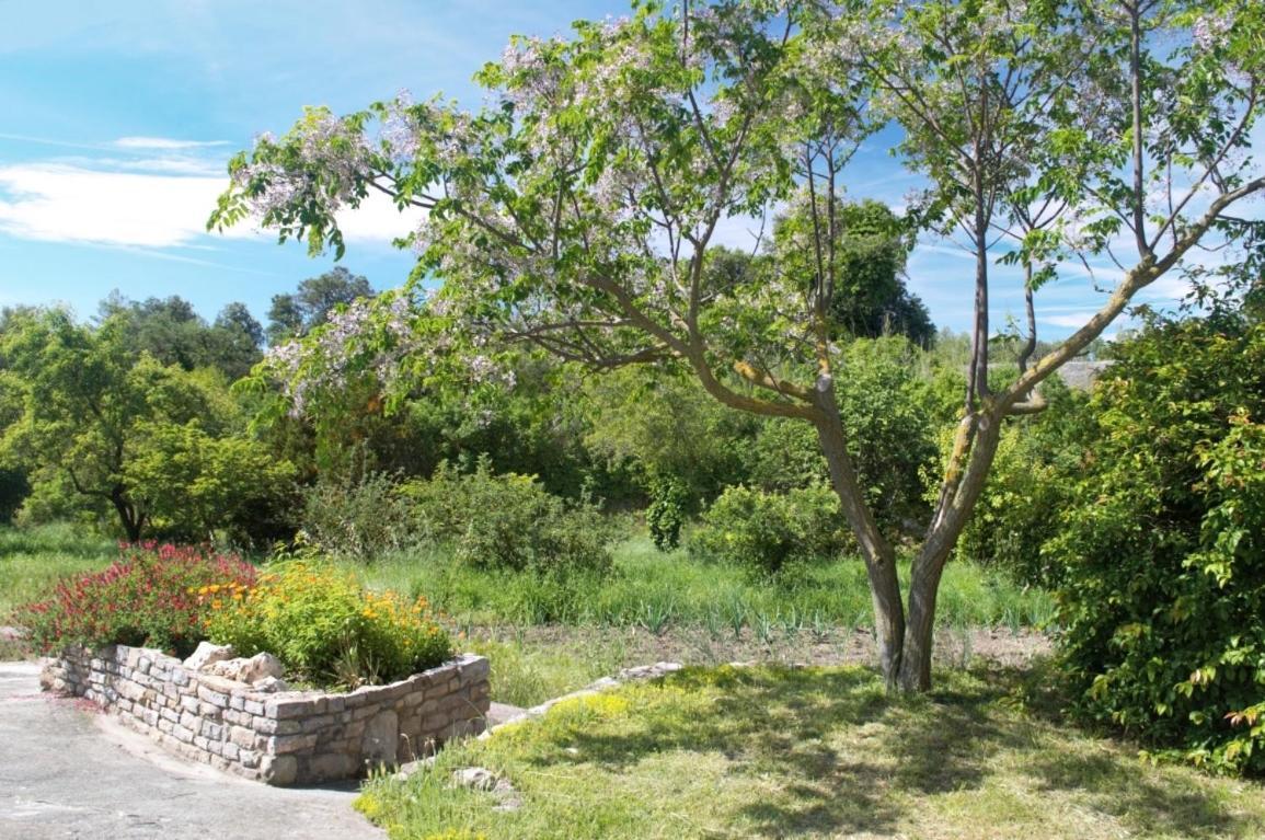 Masoveria La Roca Sagas ภายนอก รูปภาพ
